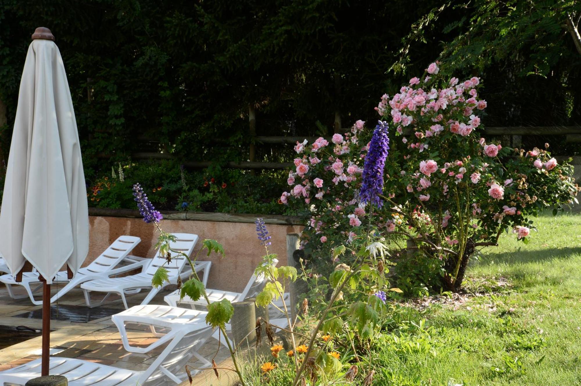 Alliey & Spa Piscine Appart-Hotel Serre Chevalier Le Monêtier-les-Bains エクステリア 写真